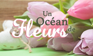 Carte cybercartes gratuites