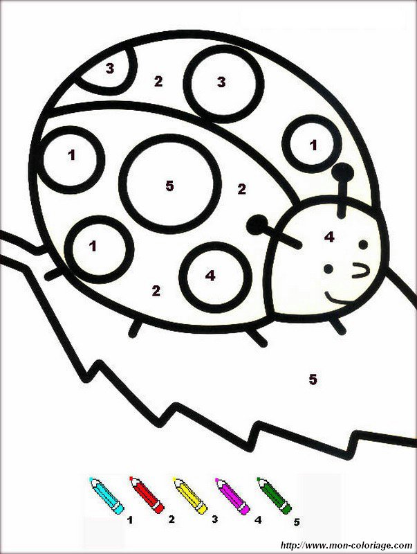 Coloriage magique coccinelles