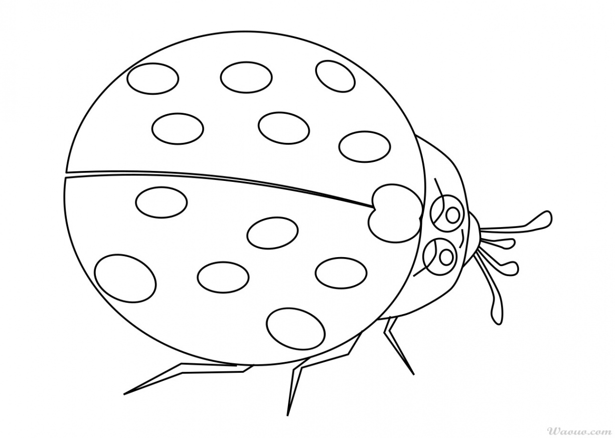 Coloriage coccinelle maternelle