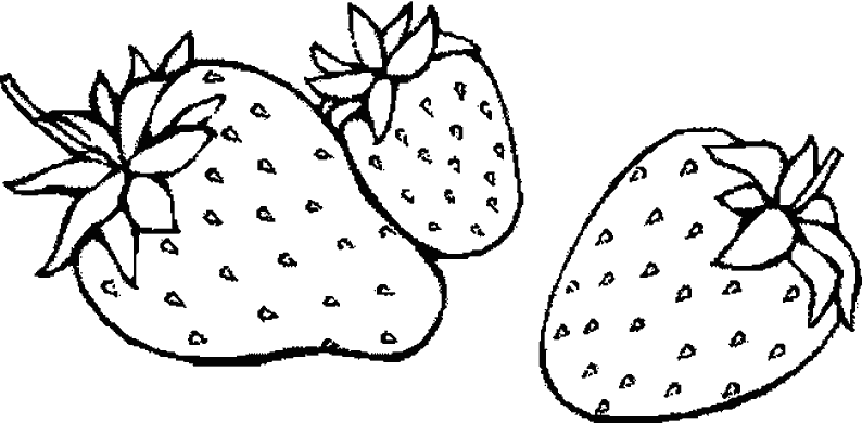 Image de fruits à colorier