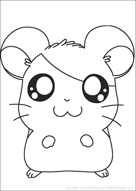 Dessin a colorier de hamster