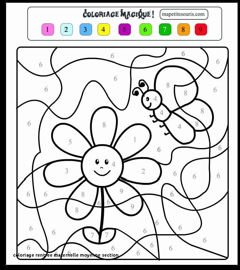 Coloriage magique numération ce1