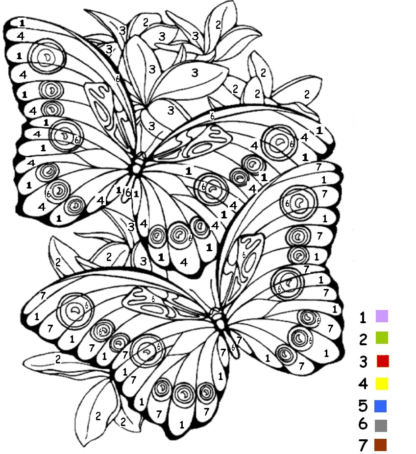 Coloriage magique papillon maternelle