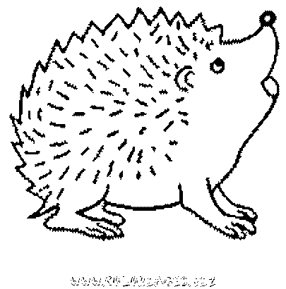 Dessin hérisson imprimer
