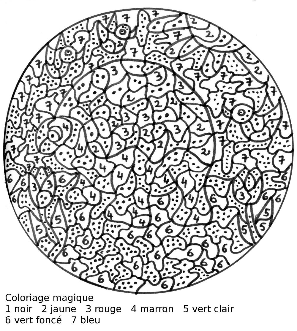 Coloriage numéroté difficile