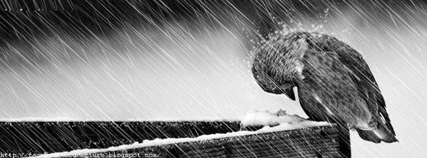 Image triste pour couverture facebook