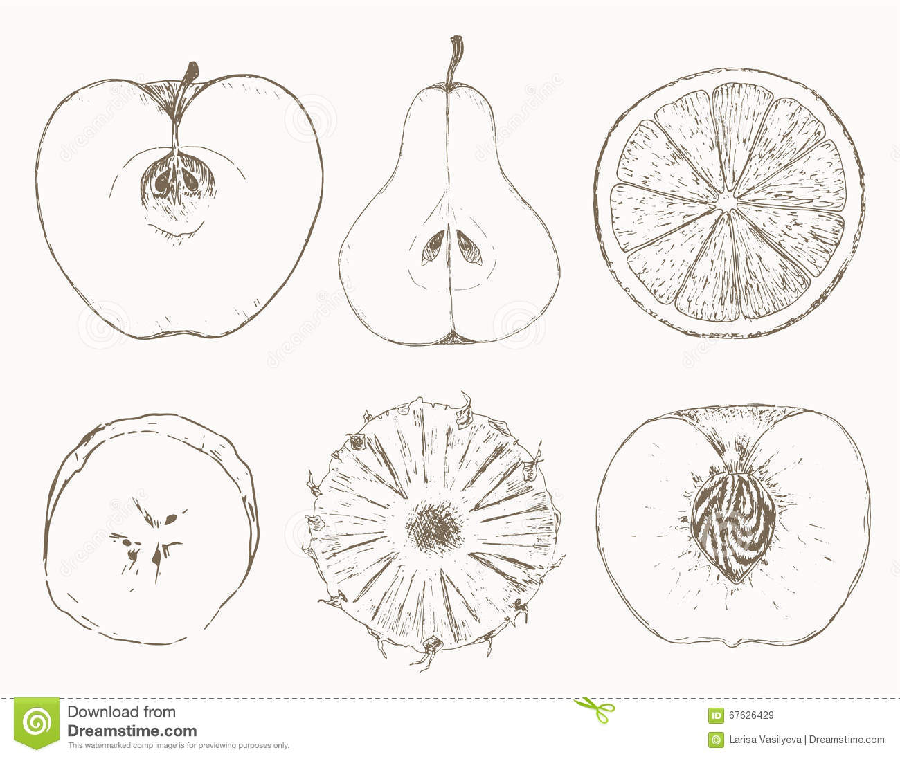 Croquis fruits