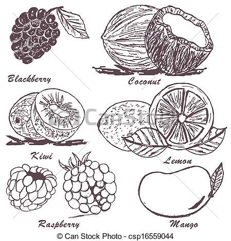 Croquis fruits
