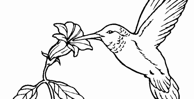 Coloriage de fleur exotique