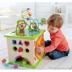 Cube multi activités géant country critters