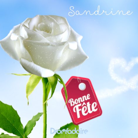 Carte dromadaire bonne fete maman