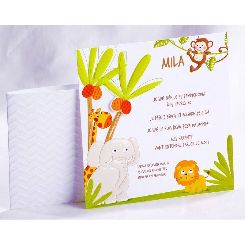 Texte faire part naissance rigolo