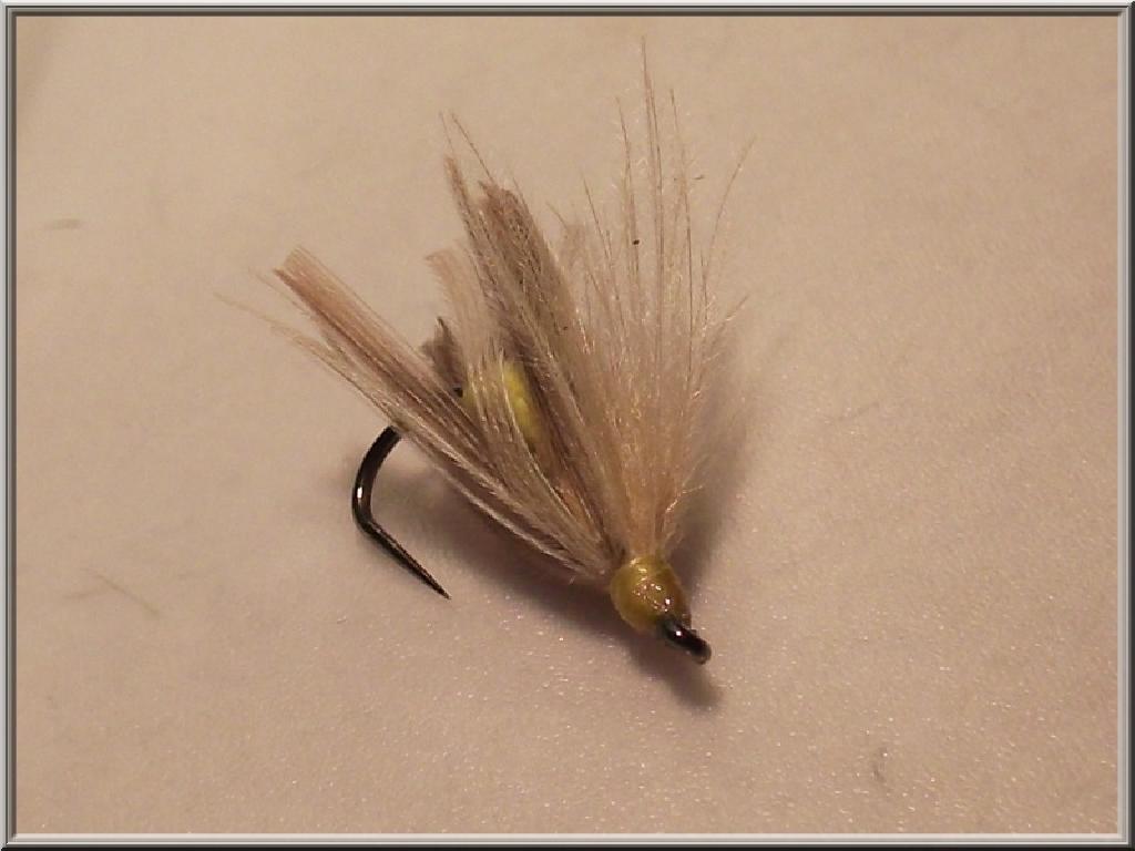 Mouche peute montage