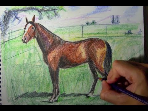 Dessin de cheval en couleur