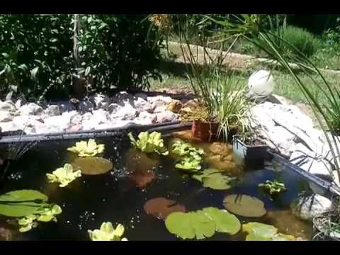 Tondeuse gazon prix discount