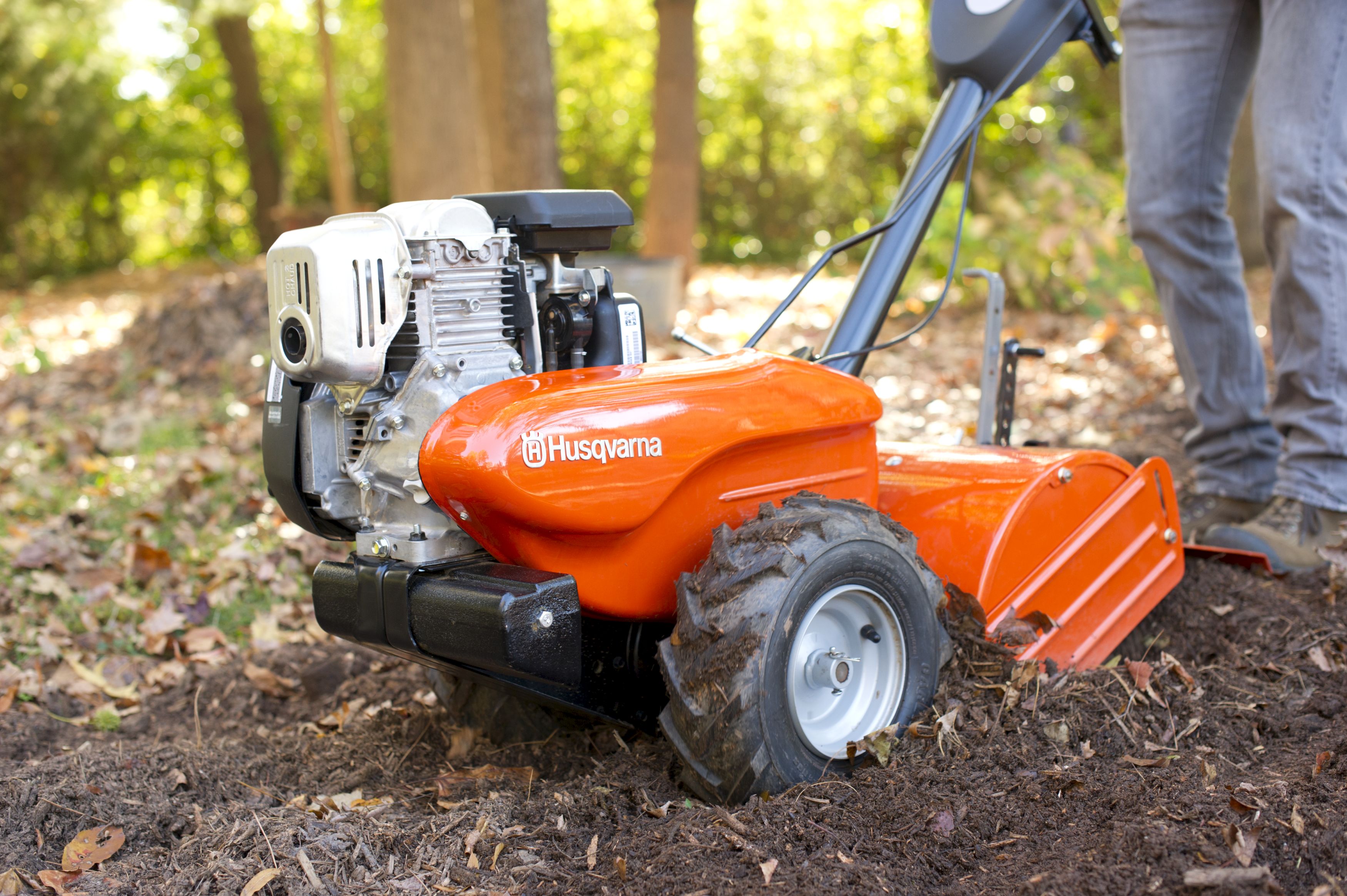 Fraise de jardin occasion