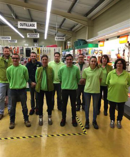 Motobineuse gamm vert