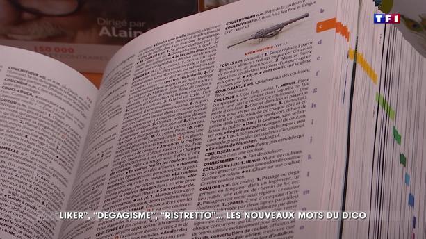 Art contemporain définition larousse