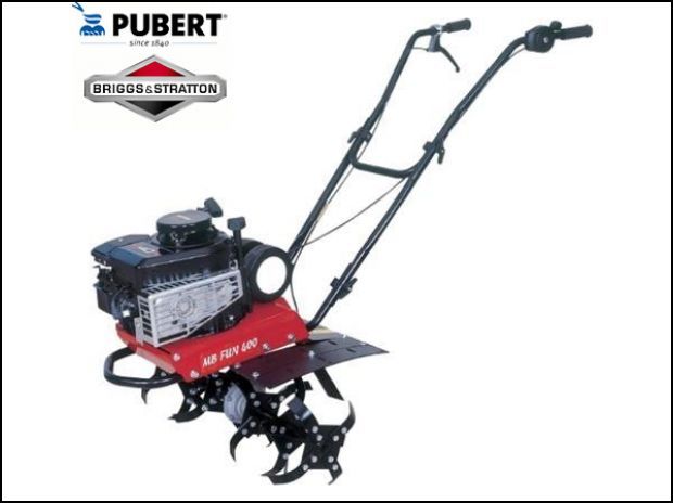 Motobineuse castorama briggs