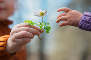 Dromacarte condoléances
