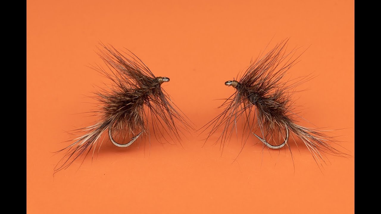 Oreille de lievre dessaigne