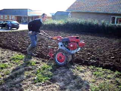 Motoculteur honda f810 occasion