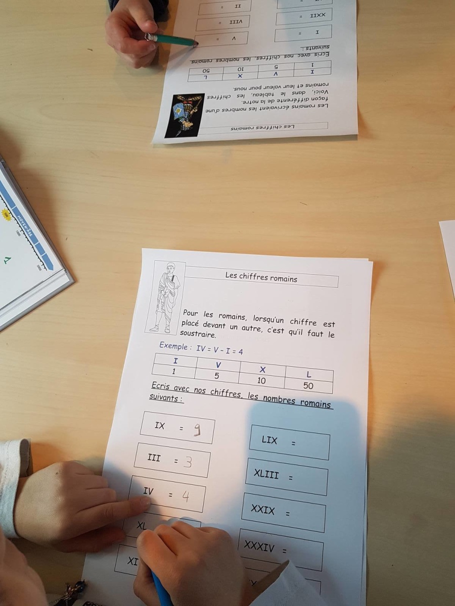 Brico depot motobineuse