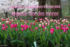 Cybercarte fête des mères