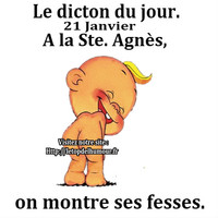 Bonne fete agnes humour