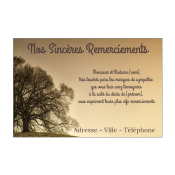 Carte remerciement deces discount