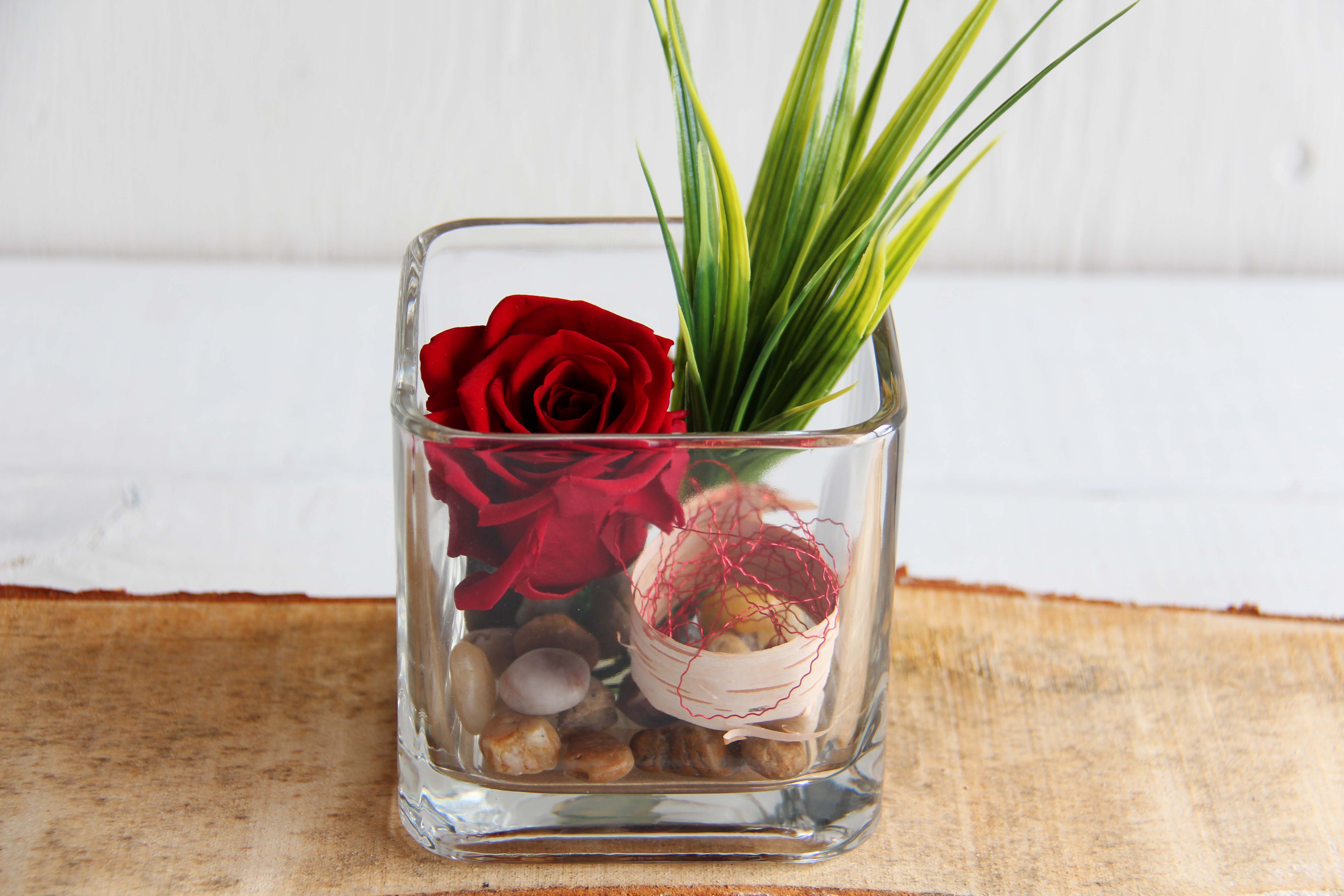 Rose éternelle rouge signification