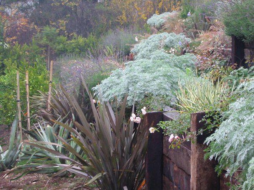 Nos gestes au quotidien pour protéger les plantes