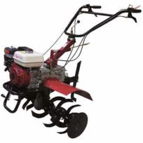 Motobineuse carrefour