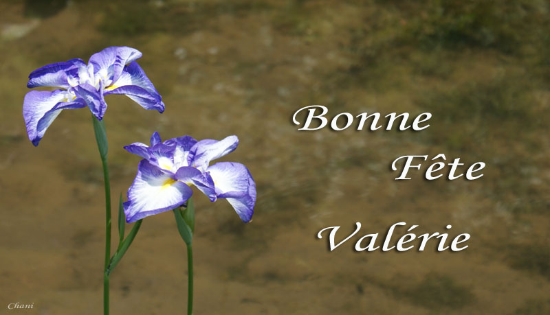 Carte bonne fete valerie