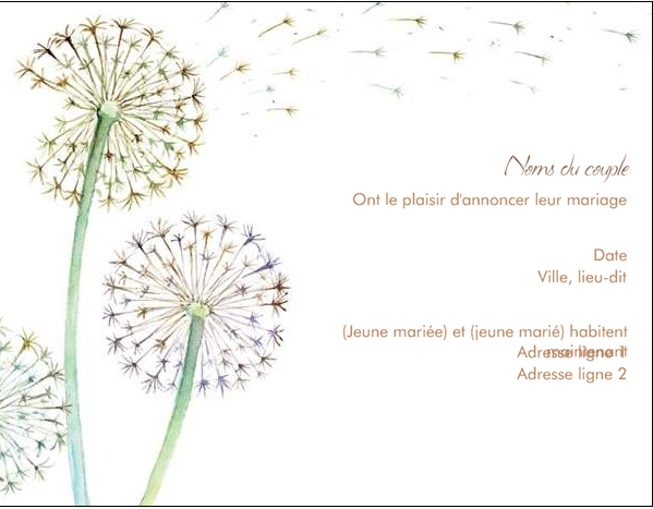 Vistaprint faire part de naissance